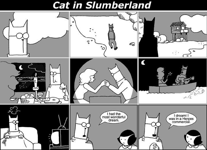 Cat in Slumberland