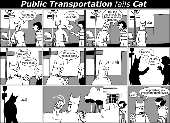 Public Transportation fails Cat