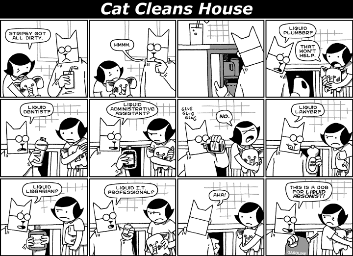 Cat Cleans House